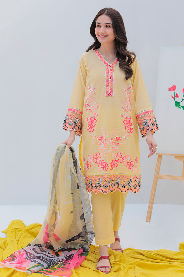 3 pc embroided suit